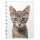 Buscar gato rayado cuadernos Gatito