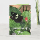 Buscar piense el rosa tarjetas Flor