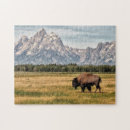 Buscar bisontes puzzles Paisaje