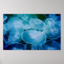 Buscar jellyfish arte Acuático