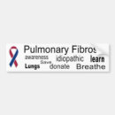 Buscar pulmón pegatinas parachoque Conciencia