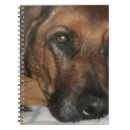 Buscar rhodesian del ridgeback Animal