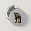 Buscar t rex chapas Chico