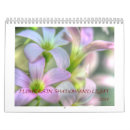 Buscar luces calendarios Floral