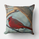 Buscar sexo cojines Pájaro