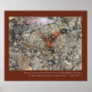 Buscar salmo 2 posters Motivación