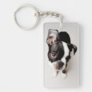 Buscar boston terrier llaveros Imagen del color