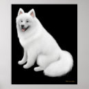 Buscar samoyed arte Sammy