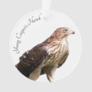 Buscar ave rapaz adornos Fauna