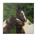 Buscar pinturas del caballo azulejos Caballo de pintura