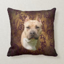 Buscar amstaff cojines Pitbull