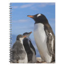 Buscar antártico cuadernos Antártida
