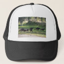 Buscar hierbas gorras General y unisex
