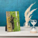 Buscar cubo placas fotograbadas Gordon illg