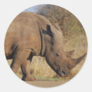 Buscar rhino pegatinas Safari