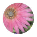 Buscar gerbera tablas cortar Para ella