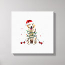Buscar boxer lienzos Cachorro