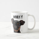 Buscar griffon de bruselas tazas botellas Divertido