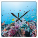 Buscar arrecife coral de relojes de pared Costa
