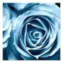 Buscar macro fotografía Floral