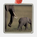 Buscar kenia adornos Elefante