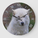 Buscar lobos grises relojes de pared Amantes de los animales
