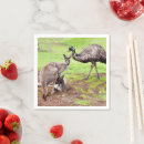 Buscar canguro servilletas Marsupial