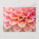 Buscar ich liebe dich postales Para todos