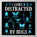 Buscar entomólogo posters Mariposa