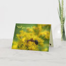 Buscar hormiga tarjetas Para todos