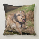 Buscar perro de pomerania enano cojines Foto