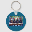 Buscar buitre llaveros Naturaleza