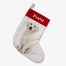 Buscar golden retriever calcetines navideños Foto