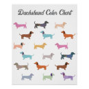 Buscar perro salchicha posters Adorable