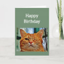 Buscar guiño tarjetas Gato