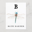 Buscar libélula azul postales Acuarela