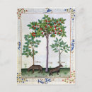 Buscar herbal postales Robinet