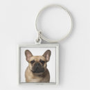 Buscar frenchie llaveros Cachorro