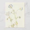 Buscar ojos azules postales Para todos