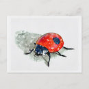 Buscar lady bug tarjetas e invitaciones Insectos