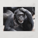Buscar chimpancé divertido postales Gorila