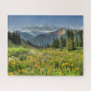 Buscar norteamérica puzzles Flor silvestre