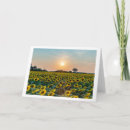 Buscar campo tarjetas Girasoles