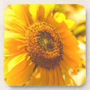 Buscar girasol amarillo posavasos Flores
