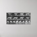 Buscar corriente fotografía Funcionamiento