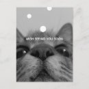 Buscar 17 años postales Adorable