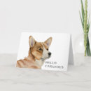 Buscar corgi tarjetas Humor