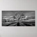 Buscar meteorología posters Árbol