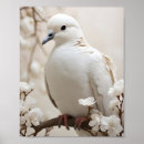 Buscar palomas blancas posters General y unisex