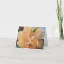 Buscar baraja tarjetas Tropical